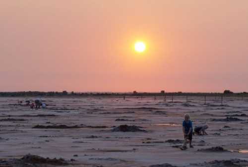 A sunset over a vast, sandy landscape with people exploring and a child playing in the foreground.