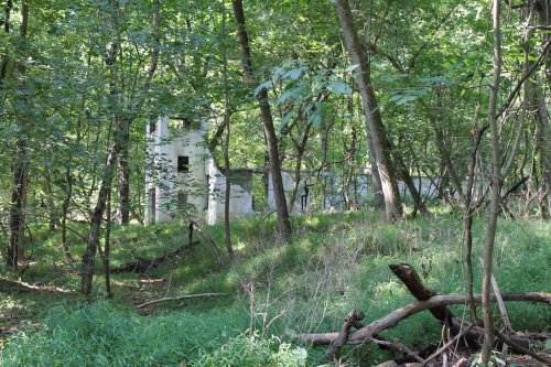 Abandoned structure partially hidden by trees and greenery in a dense forest.