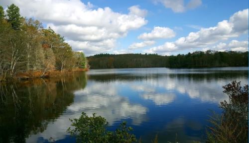 A serene lake surrounded by trees, reflecting clouds and blue sky on its calm surface.
