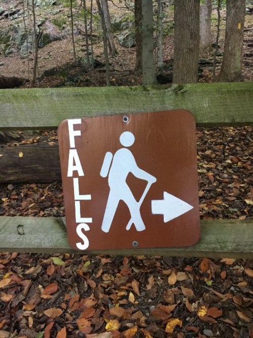 A brown sign with a hiker icon pointing right, indicating the direction to the falls, surrounded by autumn leaves.