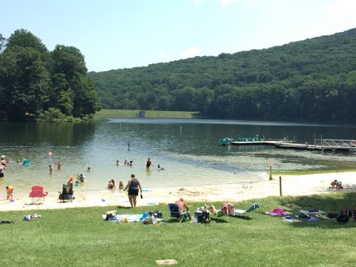 A sunny lakeside scene with people swimming, lounging on the grass, and a dock with paddle boats in the background.
