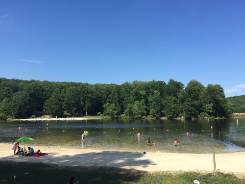 A sunny lakeside scene with people swimming and relaxing on the beach, surrounded by lush green trees.