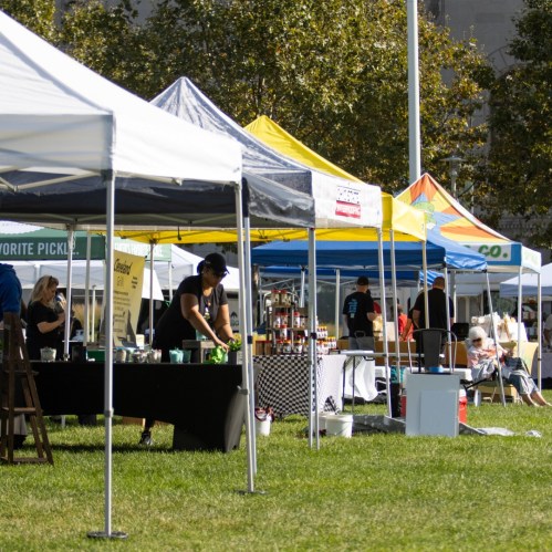 A vibrant outdoor market scene with various tents, vendors, and people enjoying the day in a grassy area.