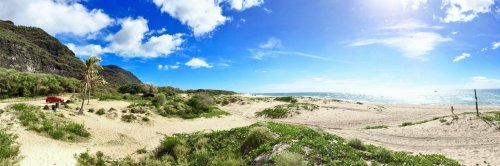A panoramic view of a sandy beach with lush greenery, palm trees, and a clear blue sky.