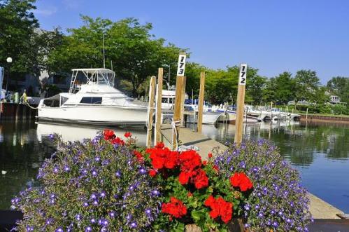 A peaceful marina scene with boats docked, surrounded by vibrant flowers and clear blue skies.