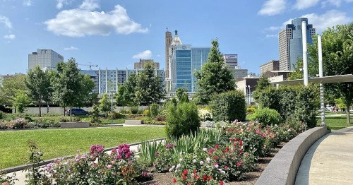 A city park with blooming flowers in the foreground and a skyline of tall buildings under a blue sky in the background.
