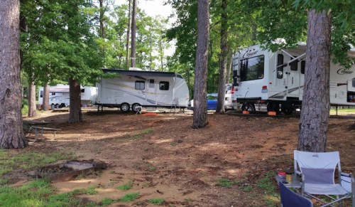 Two RVs parked among tall trees in a campsite, with a grassy area and dirt path visible.