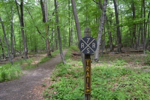 A trail sign in a lush green forest, indicating the direction of the trail with a path visible in the background.