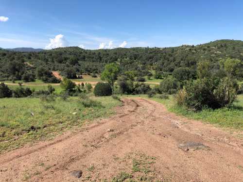 A dirt path leads through a green landscape with hills and trees under a clear blue sky.