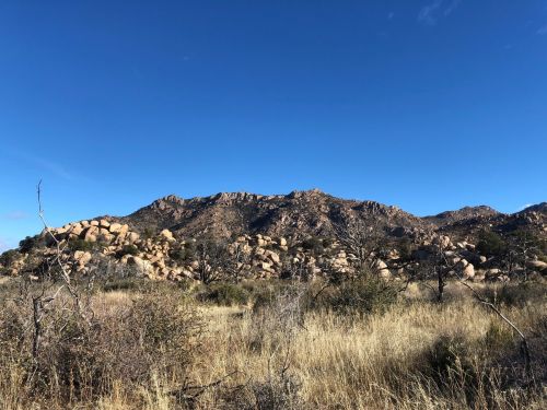 A rocky mountain landscape under a clear blue sky, with sparse vegetation and dry grass in the foreground.