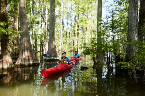 Two people kayaking in red kayaks through a serene, tree-lined waterway. Sunlight filters through the trees.