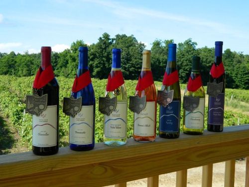 A row of wine bottles with medals, displayed on a wooden railing against a vineyard backdrop.