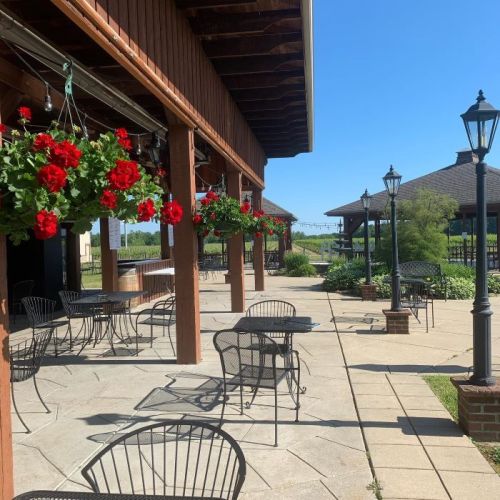 Outdoor patio with black metal tables and chairs, hanging red flowers, and lampposts under a clear blue sky.