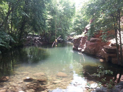 A serene river scene with a rope swing hanging over clear water, surrounded by lush green trees and rocky banks.