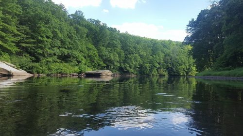 A serene river scene surrounded by lush green trees under a clear blue sky, reflecting in the calm water.