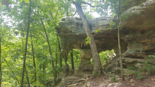 A rocky outcrop with a large overhang, surrounded by lush green trees in a forested area.