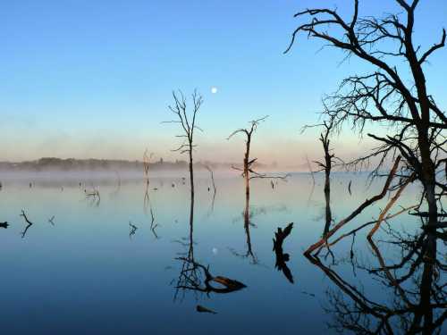 A serene lake at dawn, with mist rising and bare trees reflecting in the calm water under a clear blue sky.