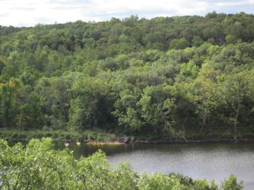 A serene river scene surrounded by lush green trees, with kayakers paddling along the water.