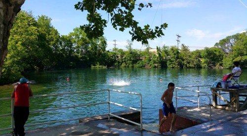 A sunny day at a swimming area with people by the water, a boy jumping in, and trees lining the shore.