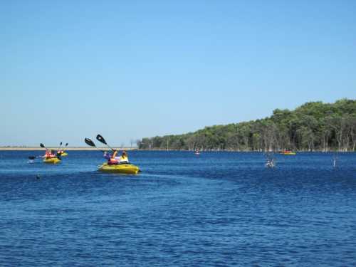 Two kayakers paddle on a calm blue lake surrounded by trees under a clear blue sky.