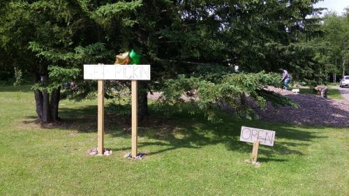 Two wooden signs in a grassy area: one says "Pickin'" with balloons, the other says "Open." Trees in the background.