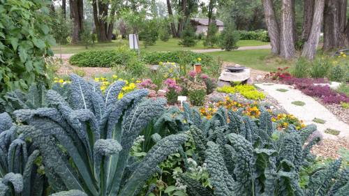 Lush garden featuring vibrant flowers and leafy greens, with a pathway and trees in the background.