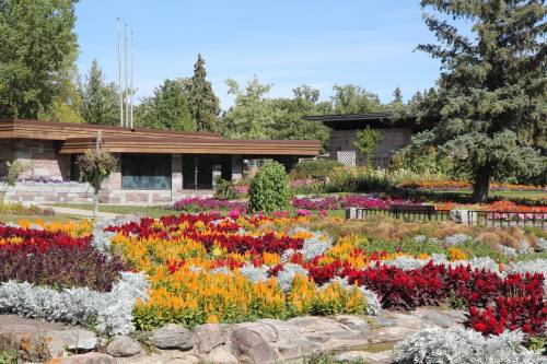 A vibrant garden filled with colorful flowers and greenery, featuring a modern building in the background.
