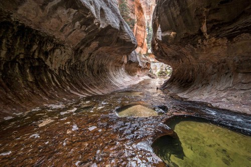 A narrow canyon with smooth, curved rock walls and a shallow stream running through it, surrounded by vibrant colors.