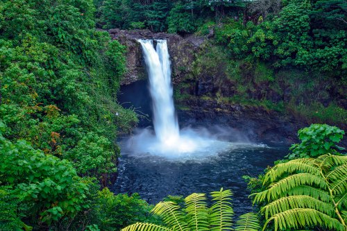 A serene waterfall cascades into a tranquil pool, surrounded by lush green foliage and vibrant plants.