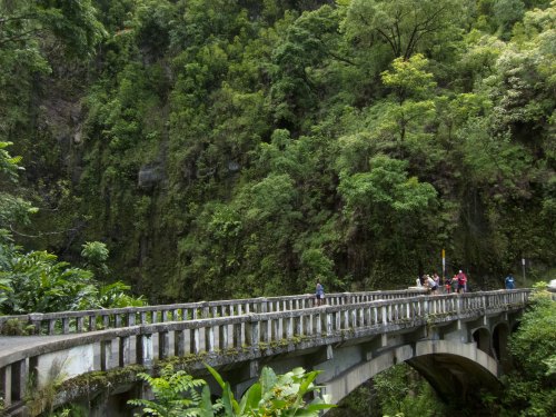 A stone bridge spans a lush green valley, with people walking and dense foliage surrounding the area.