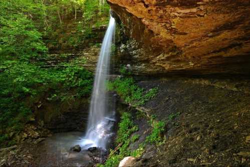 A serene waterfall cascades over rocky cliffs, surrounded by lush green foliage in a tranquil forest setting.