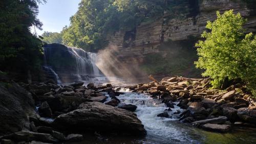 A serene waterfall cascades over rocks, surrounded by lush greenery and sunlight filtering through the trees.