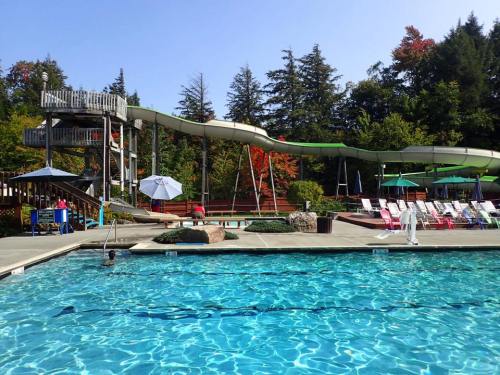 A clear blue pool with a water slide, surrounded by lounge chairs and umbrellas, set against a backdrop of trees.