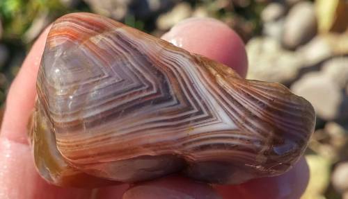 A hand holding a smooth, multicolored stone with distinct, swirling patterns and stripes.