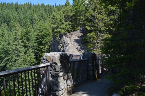 A stone pathway leads through a forested area with stairs ascending in the background, surrounded by tall trees.