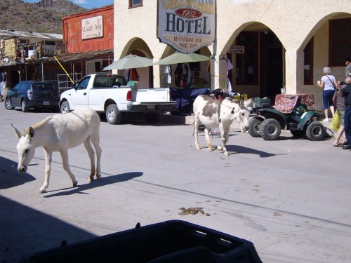 Two donkeys walk through a dusty street lined with buildings, vehicles, and people in a small town.