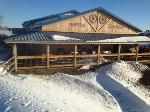 A wooden barn with a blue roof, surrounded by snow, featuring a porch and a sign that reads "Caputa."