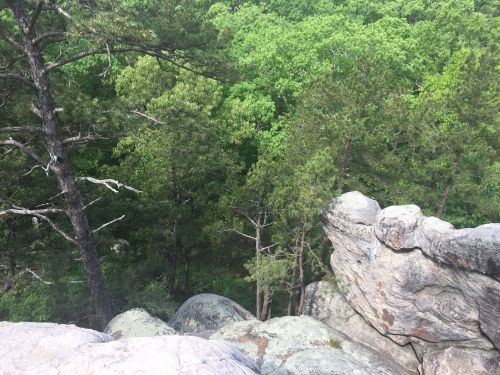 A rocky outcrop overlooks a lush green forest with dense trees and foliage.