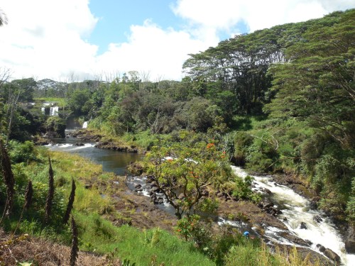 A scenic view of a river flowing through lush greenery, with trees and a waterfall in the background under a blue sky.