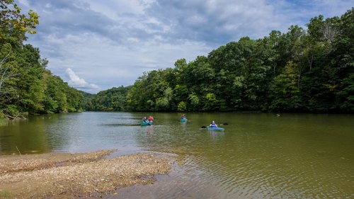 Three kayakers paddle on a calm river surrounded by lush green trees under a partly cloudy sky.