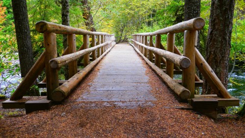 A wooden bridge surrounded by trees, leading over a path covered in fallen leaves.
