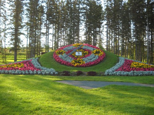 A vibrant flower bed shaped like a clock, surrounded by lush green grass and tall trees in the background.