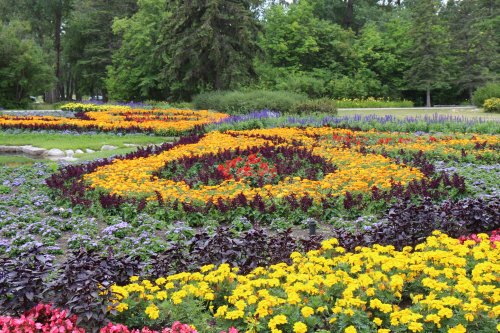A vibrant garden featuring colorful flower beds arranged in intricate patterns, surrounded by lush greenery.