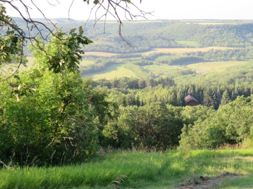 A scenic view of rolling green hills and a distant barn surrounded by trees under a clear sky.