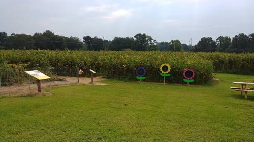 A grassy area with colorful flower cutouts, a sign, and a sunflower field in the background under a cloudy sky.