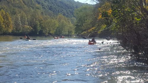 Kayakers navigate a sparkling river surrounded by lush trees and rolling hills on a sunny day.