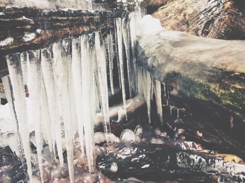 Icicles hang from a log over a bed of frozen rocks and ice, creating a wintery scene in nature.