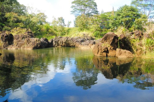 A serene natural pond surrounded by lush greenery and rocky formations, reflecting the clear blue sky.