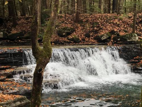 A serene waterfall cascades over rocks, surrounded by autumn leaves and trees in a peaceful forest setting.