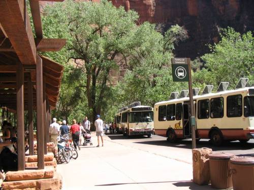 Buses parked along a tree-lined path in a scenic area, with people walking and enjoying the outdoors.